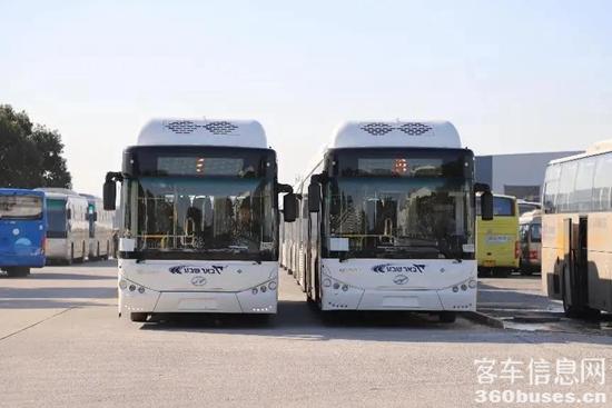 31辆苏州金龙CNG天然气公交车出口以色列.jpg